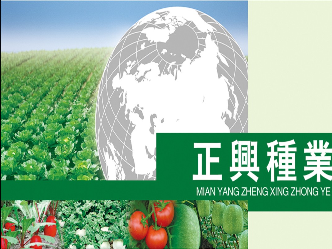 正 兴 种 业