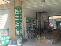 民丰种苗